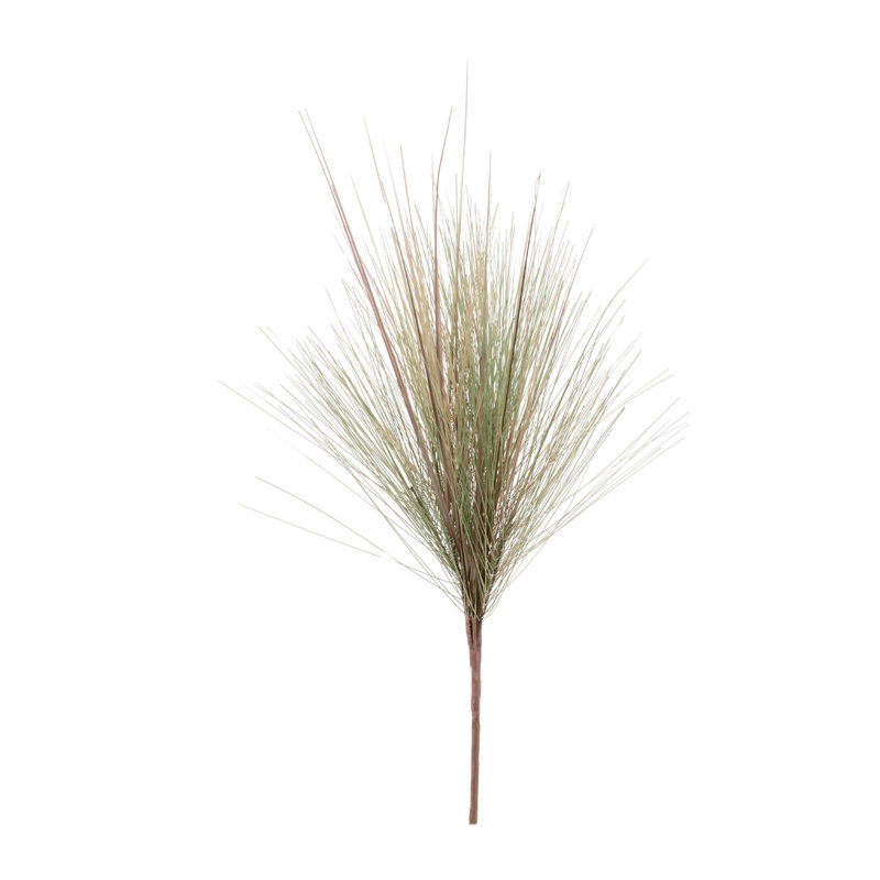 Herbe et feuillage d'herbe
