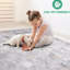 Tapis 6 pi x 9 pi gris / multicolore abstrait Teinture, sans perte de poils pour le bureau personnel, la cuisine, la chambre à coucher et le salon. Collection pour animaux. Abstrait, chambre de bébé, coffre-fort