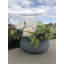 Pot à fleurs en béton Dovenby-968420656-968420671