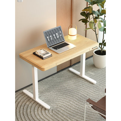 Allurine 120cm W Electric Standing Desk with USB & Wireless Charger