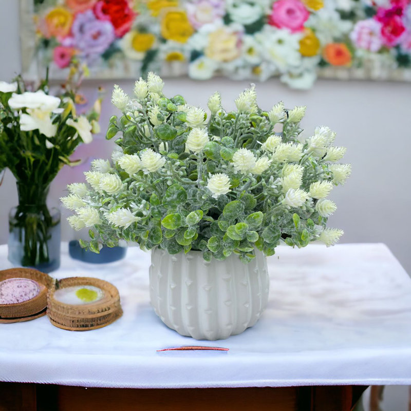 Arrangement de bébé en pot, Crème