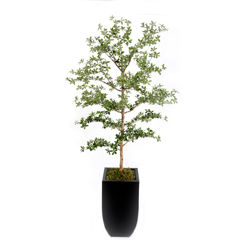 Pot à fleurs 86 po H