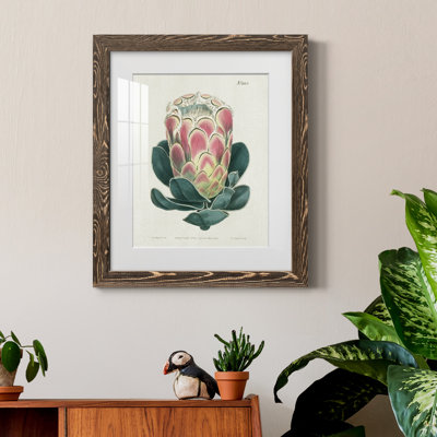 Protea N83 - Peinture encadrée