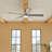 Lucian 60 " Ceiling Fan with LED Lights with Light Kit-715556766