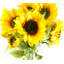 Pack of 6 x 88cm Yellow Sunflower Stem-89222296