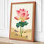 Desert Lotus Botanical - Wrapped Canvas-940140109-940140110