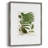 Fern I Framed Print - Solid Wood
