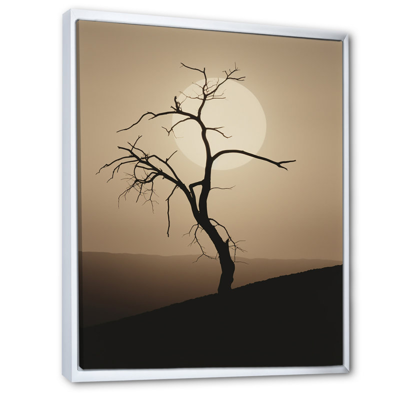 Minimalisme clair de lune, désert, simplicité, H 32 po x l 16 po x P 1 po, Cadre flottant blanc