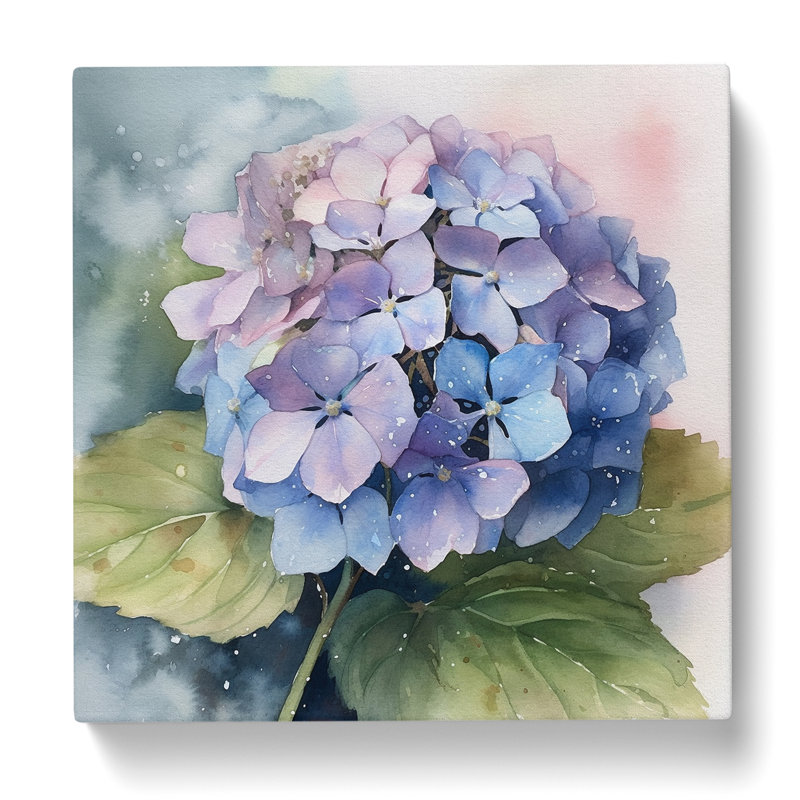 Hydrangea No.3 - Wrapped Canvas, 35cm H x 35cm W x 3cm D