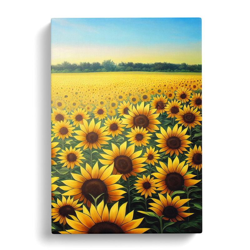 Harrisburg Sunflower Field - Wrapped Canvas, 76cm H x 50cm W x 3cm D