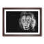 Portrait of a Lion - Framed Print-56758426-56758422