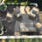 Indoor / Outdoor Rug-161492381