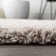 Anttwan Solid Shag Light Beige Rug