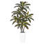 Plant-1137603670