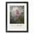 Black Framed selected