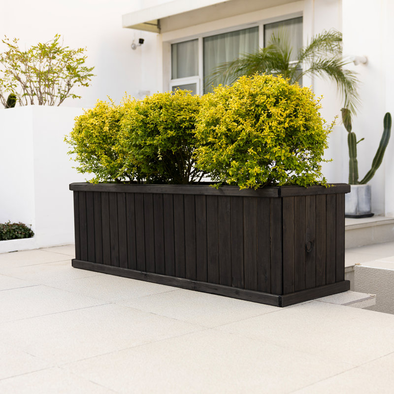 Boîte à fleurs rectangulaire en cèdre massif avec trous de drainage Barros, Noir, H 18,75 po x l 60 po x P 18,75 po