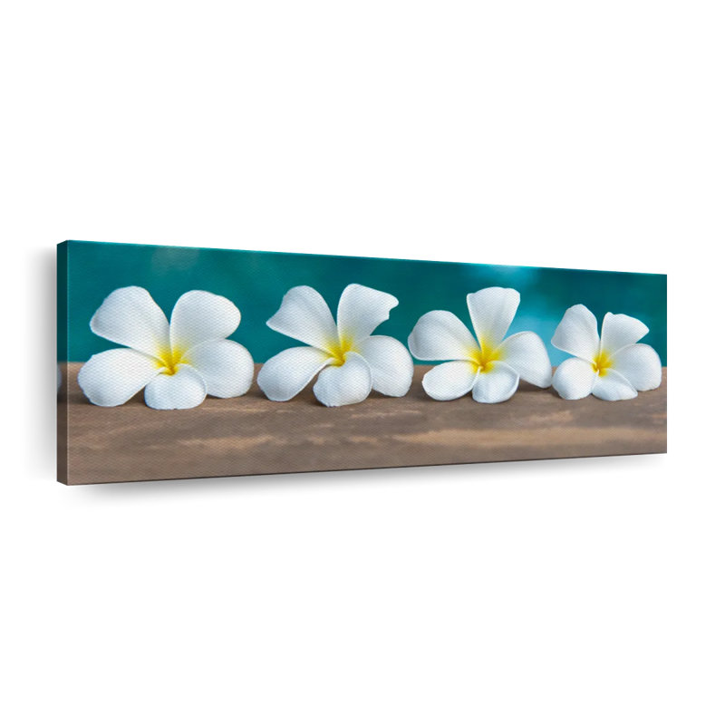 Fleur de frangipanier blanc sur toile, H 14 po x l 42 po x P 1,25 po