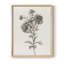 sur papier-135748383-135748377