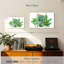 Plantes grasses Harnek-107980684