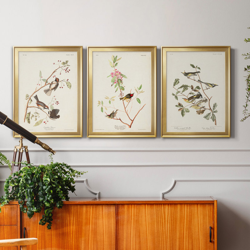 Pl. «194 Canadian Titmouse», ensemble de 3 reproductions d'art sur toile encadrées, H 30,5 po x l 172,5 po x P 1,5 po, Doré