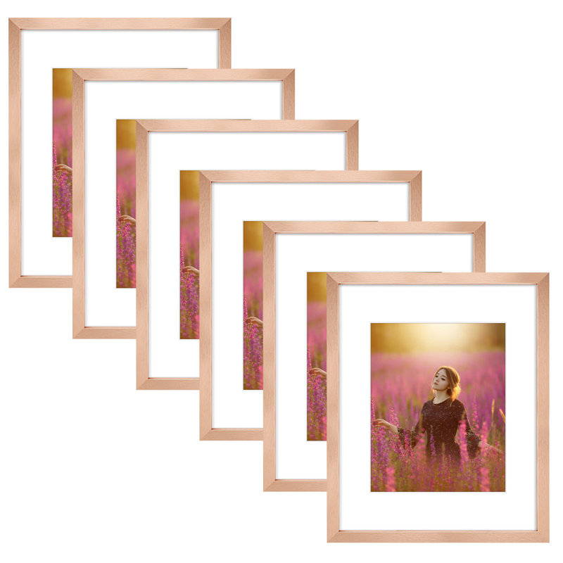 Gallery Frames, With Mat & Plexiglass, Wall/Tabletop Display, Rose Gold, 16" W x 20" H