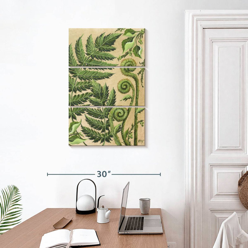 Harnek Various Ferns, 32" H x 20" W