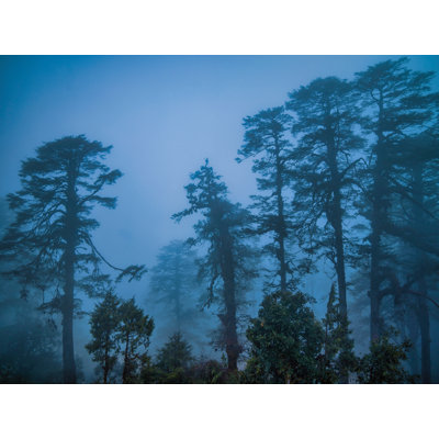 Afternoon Mist Print by Mark Paulda
