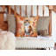 Coussin décoratif Bobtail coréen en feuilles d'automne-112679455