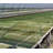 Riverstone Industries Hydroponic Unit Flowers