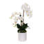Arrangement d'orchidées