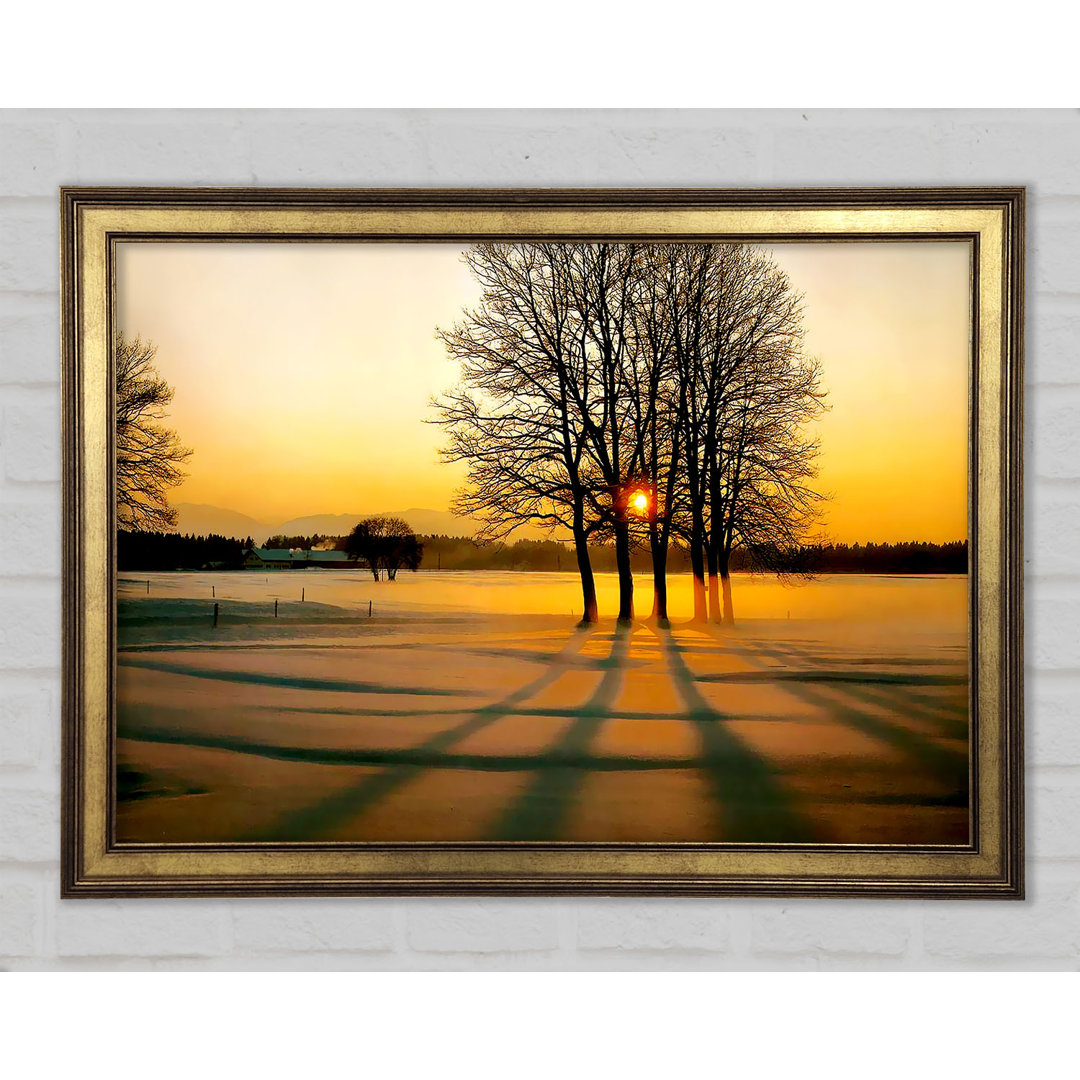 Gerahmtes Leinwandbild Winter Tree Sunrise Golden