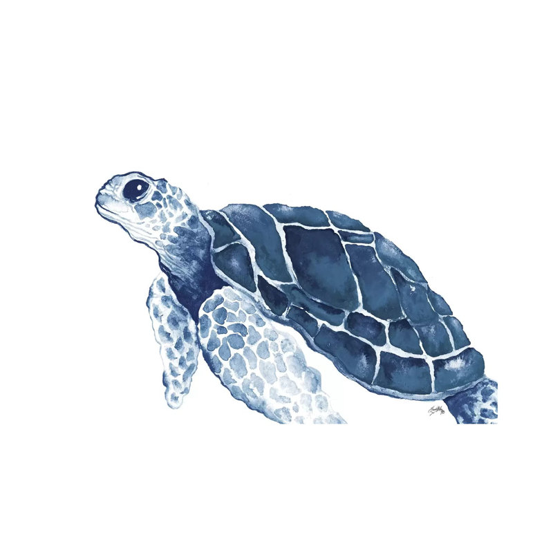 Turtle In The Blues by Elizabeth Medley - Gallery-Wrapped Canvas Giclée on Canvas, Canvas, 20.32 cm H x 30.48 cm W