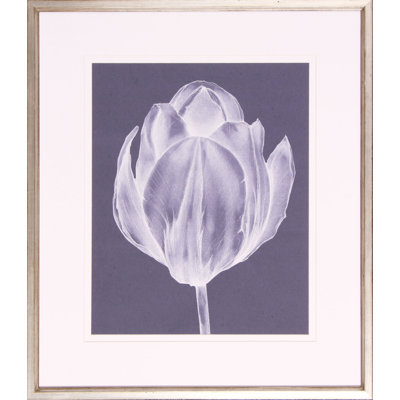 « monochrome tulipe i », impression encadrée