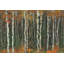 Parvez Taj - Wrapped Canvas Print-36743642