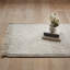 Flatweave Wool/Cotton Area Rug in Ivory-1456489502