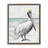 Rustic Pelican on Shoreline-526781059-521721821