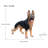 Outdoor German shepherd Dog Statue