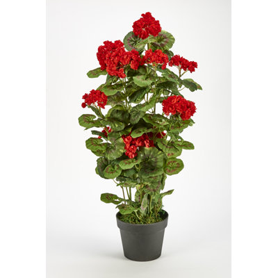 Faux géranium 31 po dans un pot de 7 po avec mousse