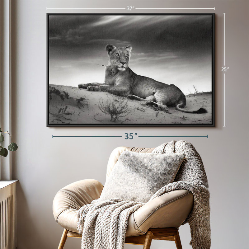 Animal «Lioness Canvas Print», H 25 po x l 37 po