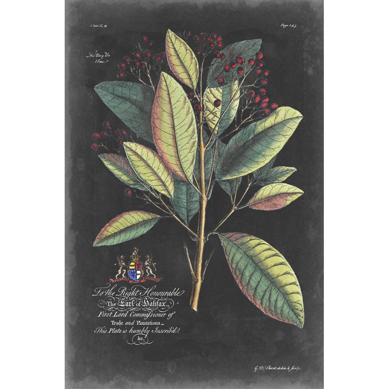 Dramatique royal botanique VI, H 48 po x l 32 po x P 1,25 po