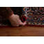 Tapis persan en laine Kashan