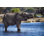 L'éléphant d'Afrique boit de l'eau, Delta de l'Okavango, Botswana, par Guenterguni