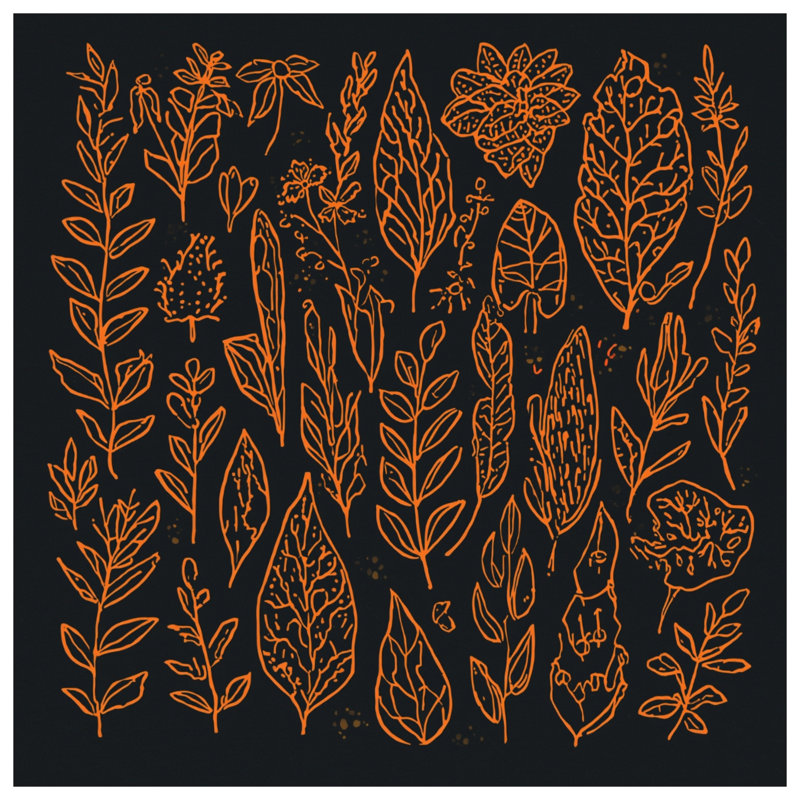 Orange Botanical Illustrations Canvas Gallery Wrap in Many Sizes, 12 x 12 inches