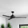 Ohare 58'' Ceiling Fan