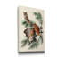 Pl 97 Little Screech Owl - impression sur toile tendue-829584144