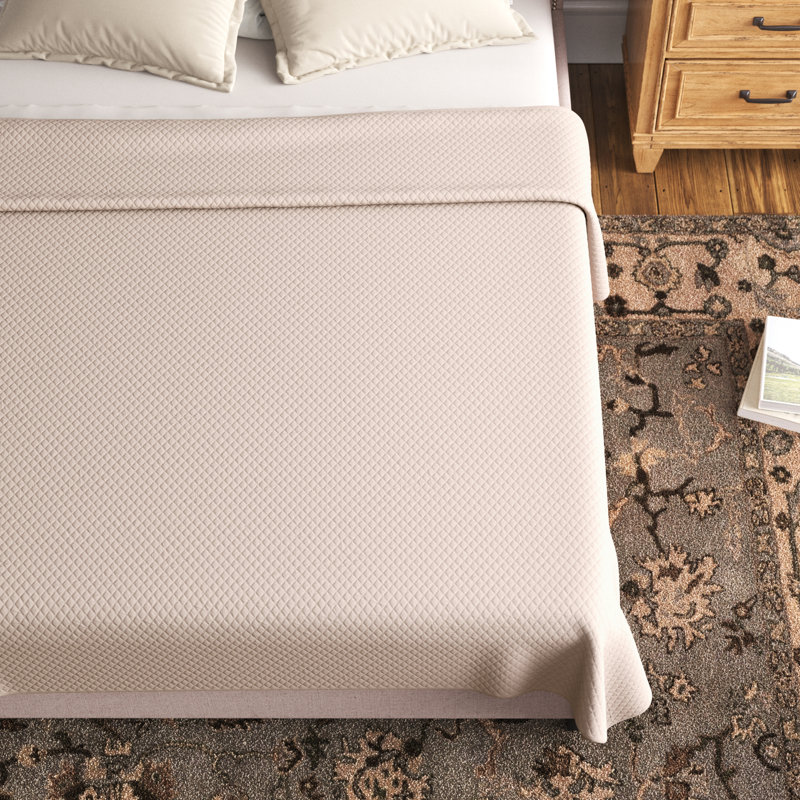 Aden Cotton Quilt, Queen, Pink