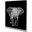 «Elephant on Dark», impression sur toile tendue-29497008