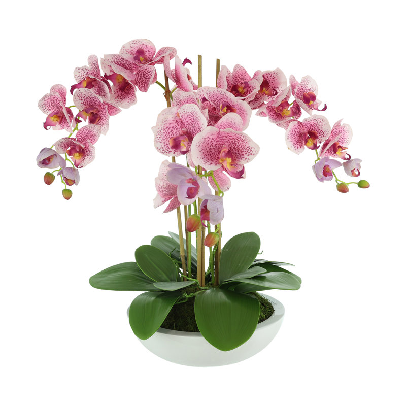 Arrangement de fleurs d'orchidée en polysilk Cairo en pot, Rose/mauve