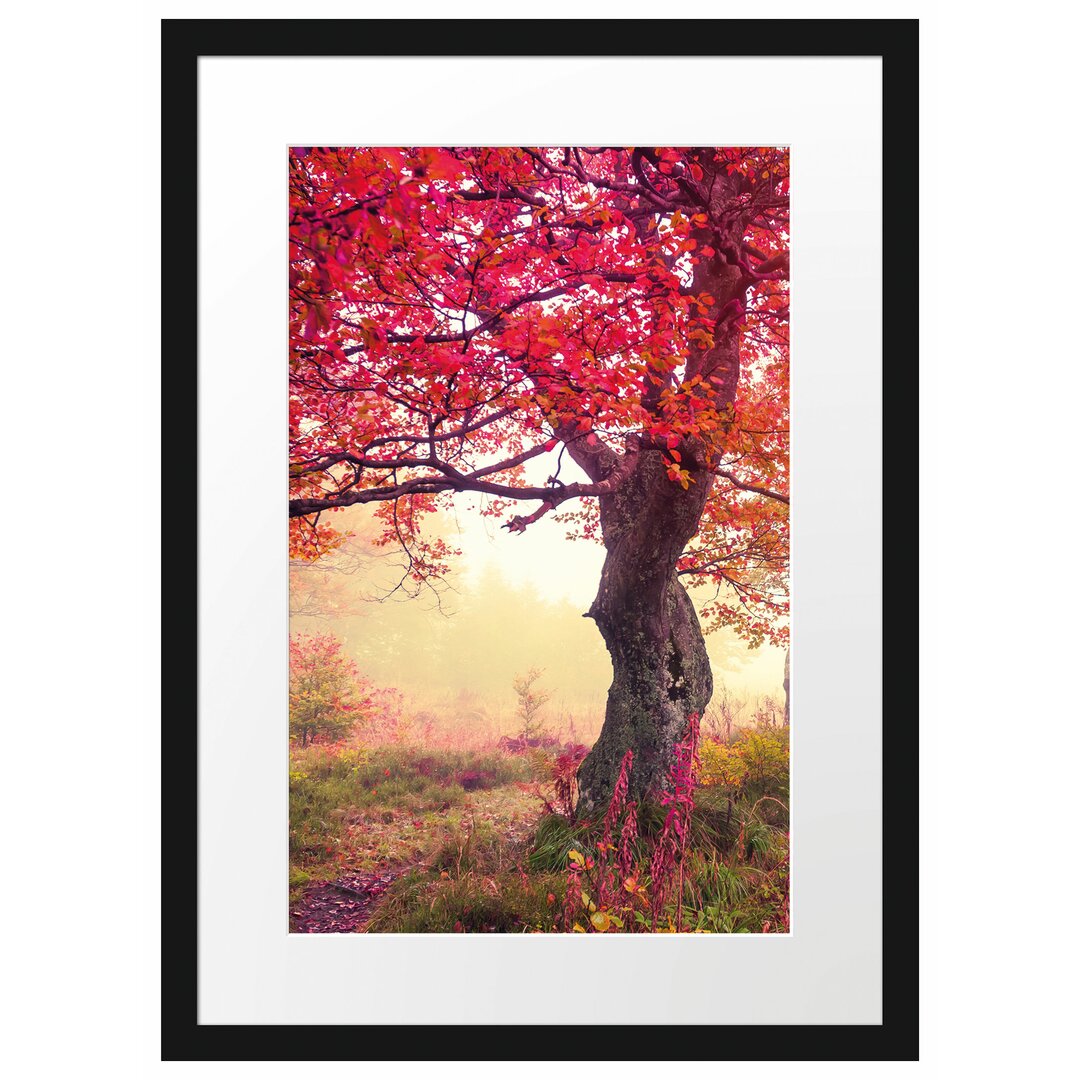 Gerahmtes Poster Traumhafte Herbstlandschaft