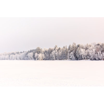 Frozen Forest - Wrapped Canvas Print